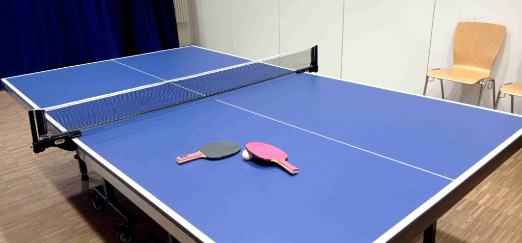 Tischtennisplatte mit Netz, 2 Schlägern und Ball